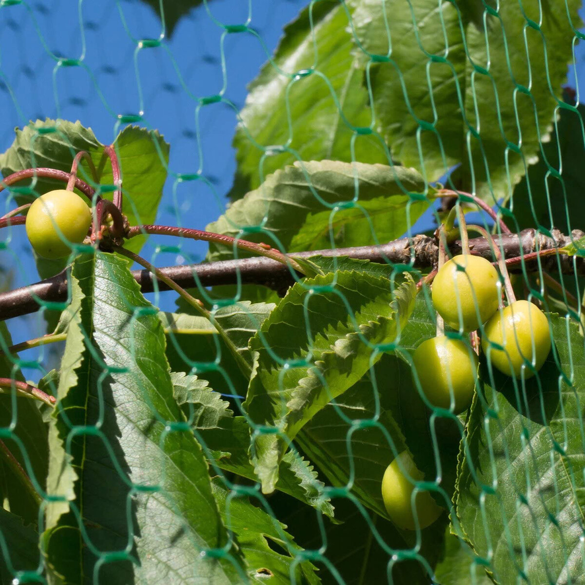 5 Size Anti Bird Net Garden Mesh Fruit Tree Pond Netting Protect Cover COD